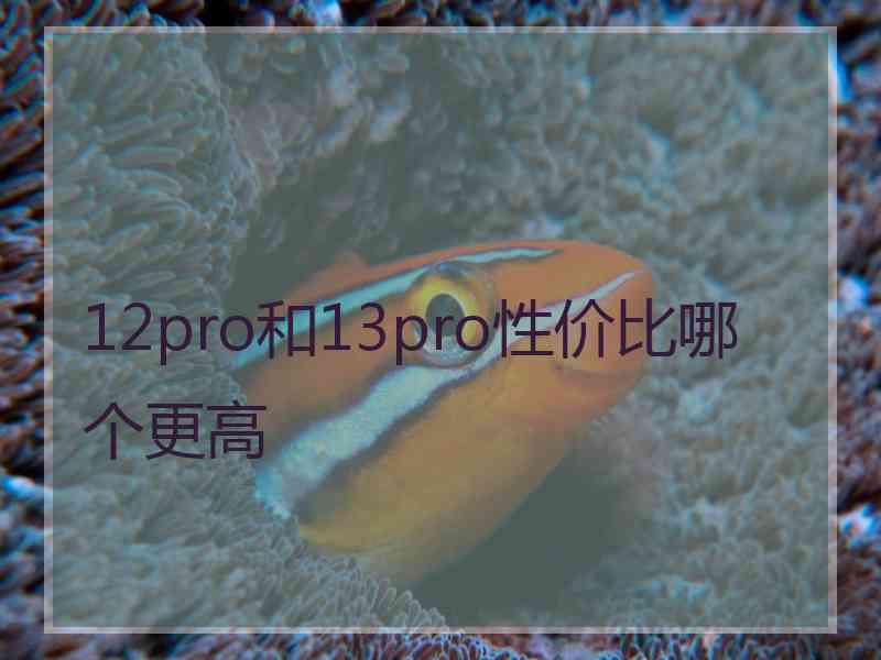 12pro和13pro性价比哪个更高