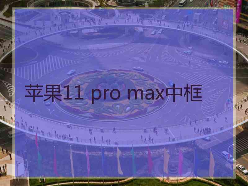 苹果11 pro max中框