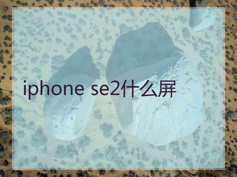 iphone se2什么屏