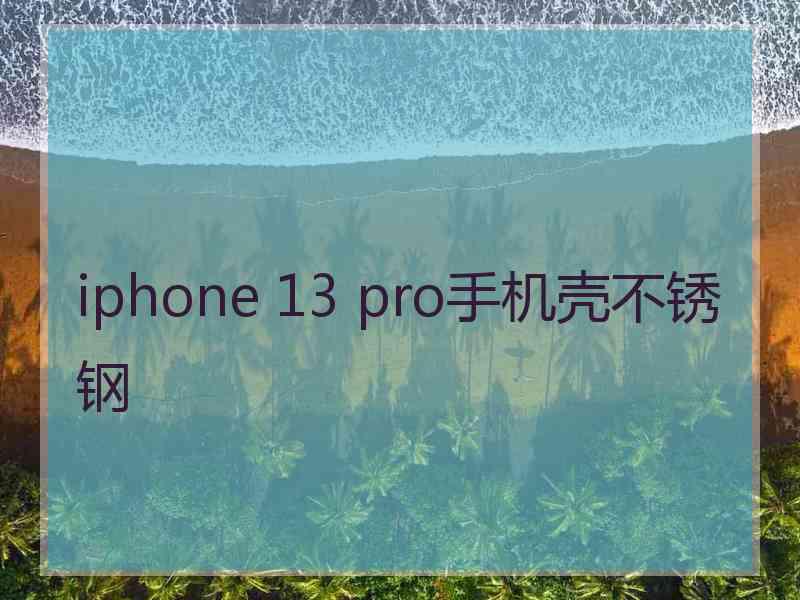 iphone 13 pro手机壳不锈钢