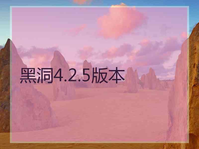 黑洞4.2.5版本