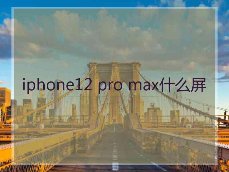 iphone12 pro max什么屏