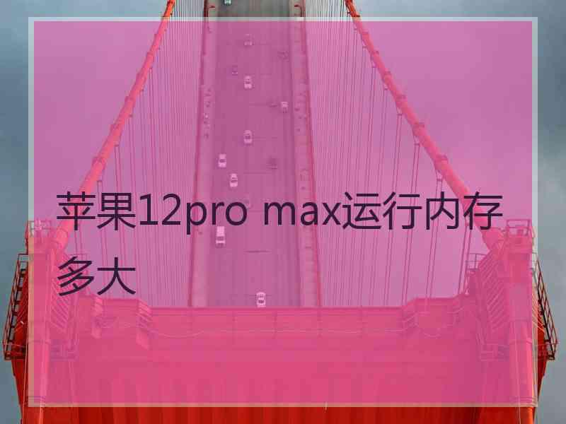 苹果12pro max运行内存多大