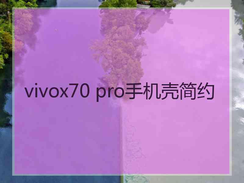 vivox70 pro手机壳简约