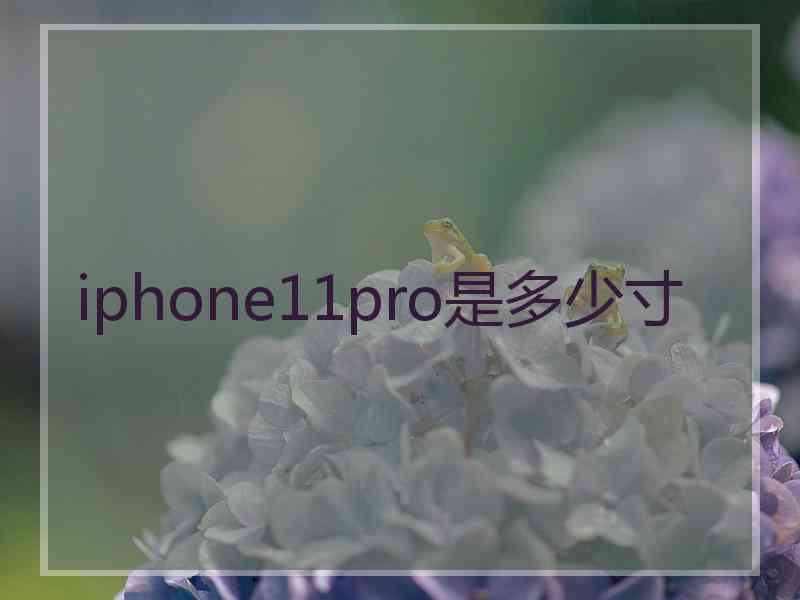 iphone11pro是多少寸