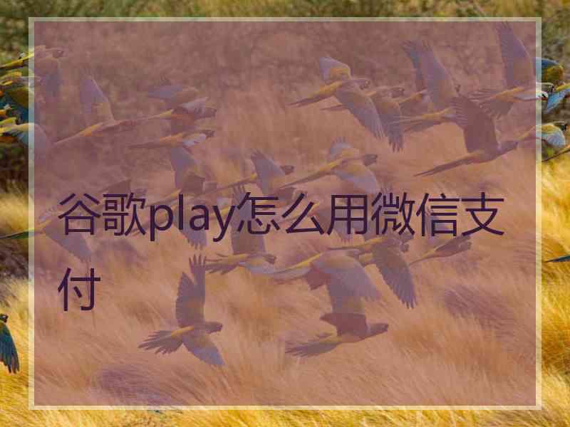 谷歌play怎么用微信支付