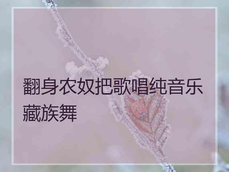 翻身农奴把歌唱纯音乐藏族舞