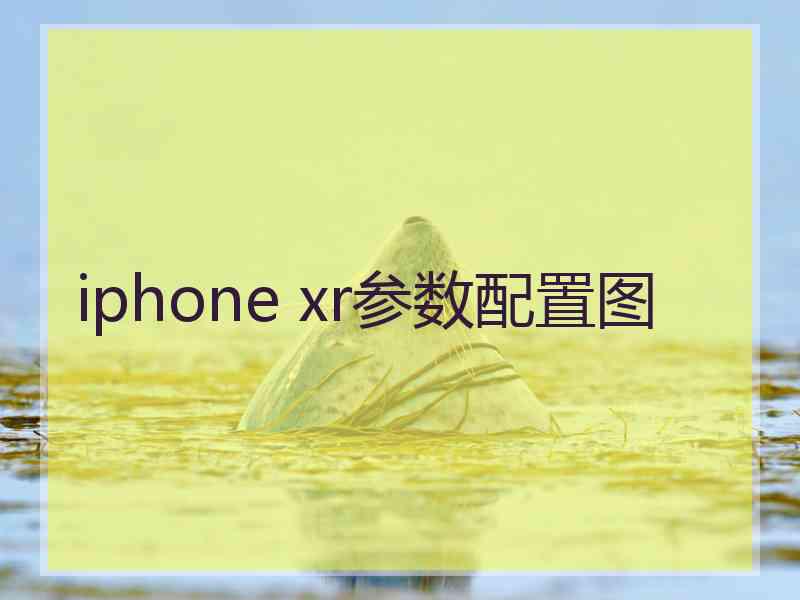 iphone xr参数配置图