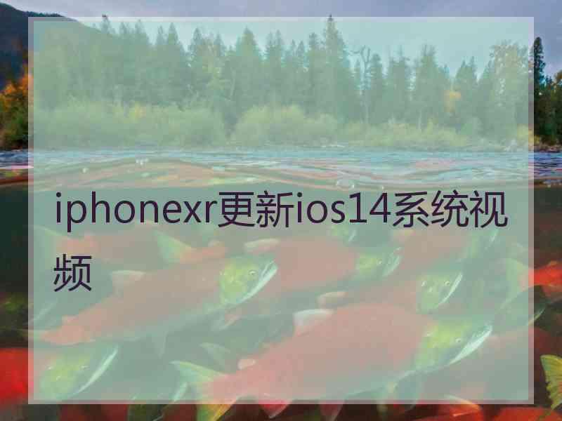 iphonexr更新ios14系统视频