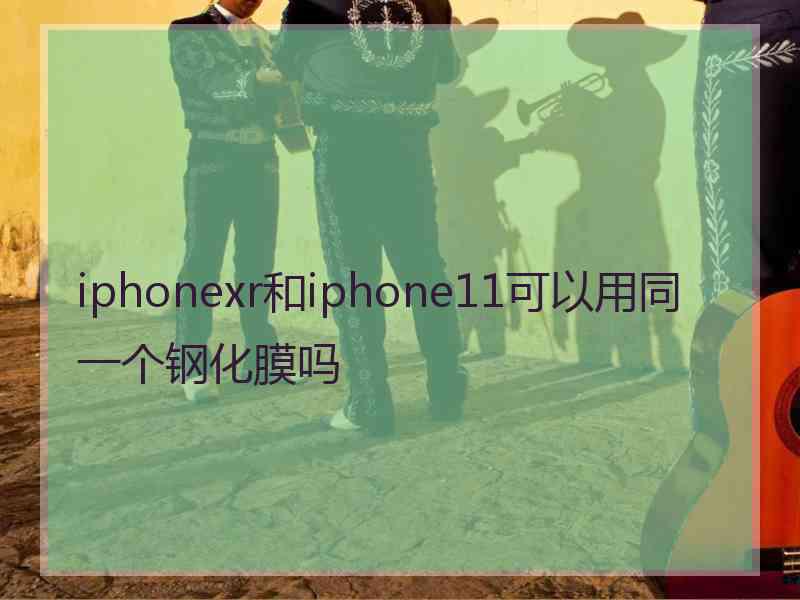 iphonexr和iphone11可以用同一个钢化膜吗