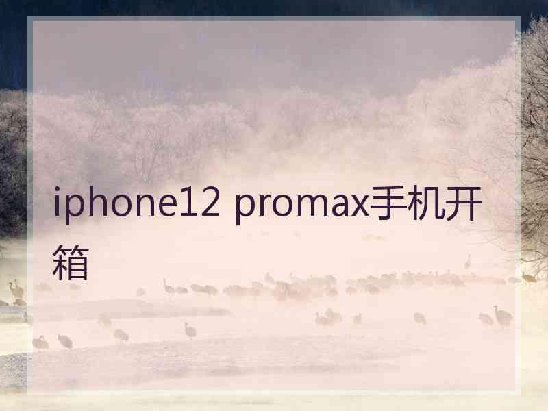 iphone12 promax手机开箱