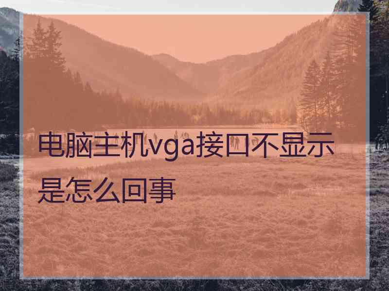 电脑主机vga接口不显示是怎么回事