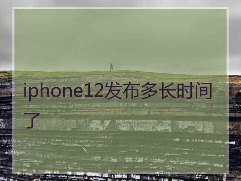 iphone12发布多长时间了