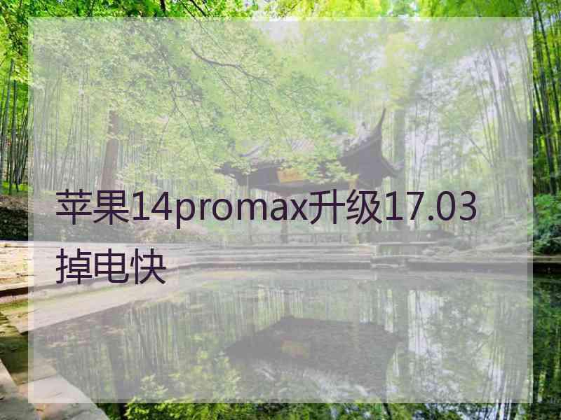 苹果14promax升级17.03掉电快