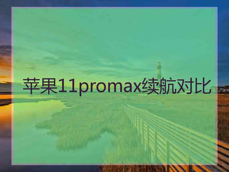 苹果11promax续航对比