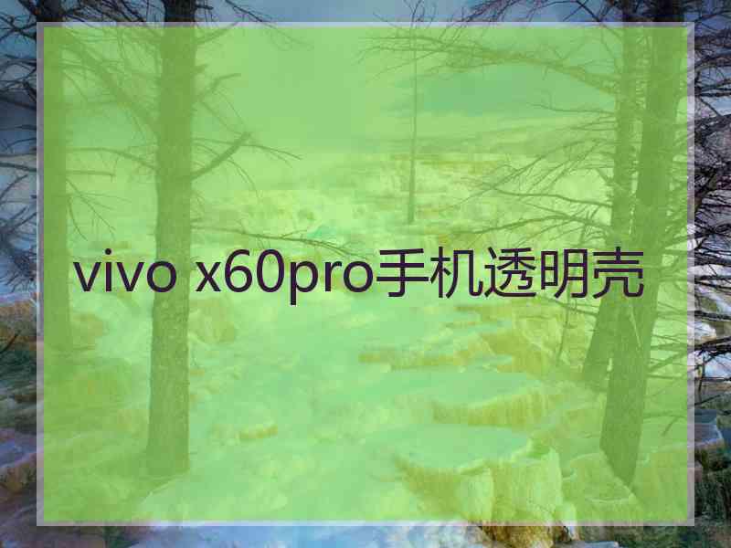 vivo x60pro手机透明壳