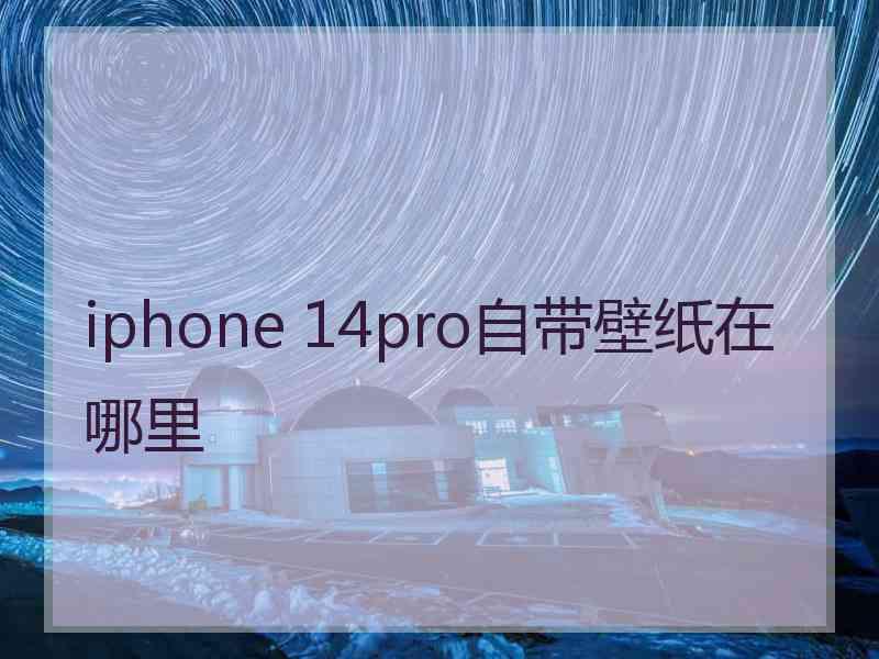 iphone 14pro自带壁纸在哪里