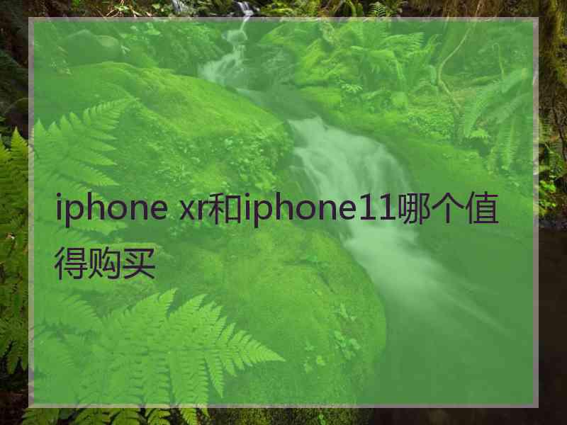 iphone xr和iphone11哪个值得购买