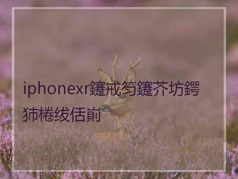 iphonexr鑳戒笉鑳芥坊鍔犻棬绂佸崱