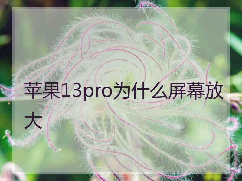 苹果13pro为什么屏幕放大