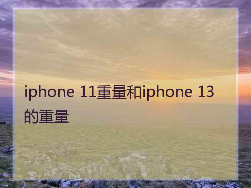 iphone 11重量和iphone 13的重量