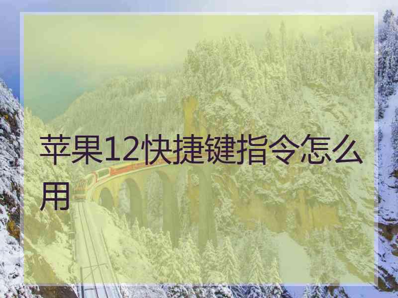 苹果12快捷键指令怎么用