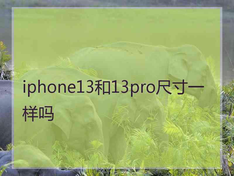 iphone13和13pro尺寸一样吗