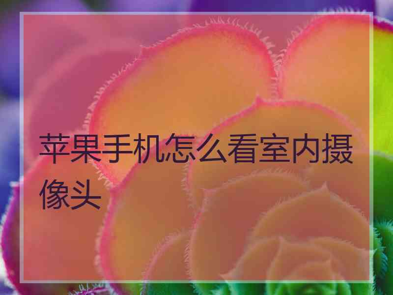 苹果手机怎么看室内摄像头