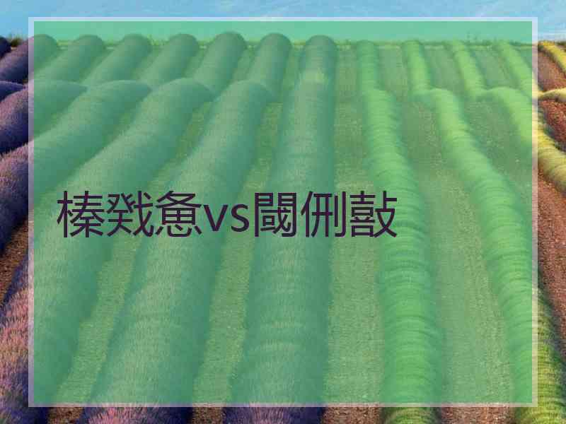 榛戣惫vs閾侀敼