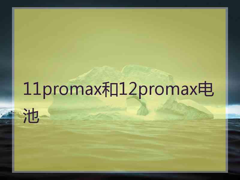 11promax和12promax电池