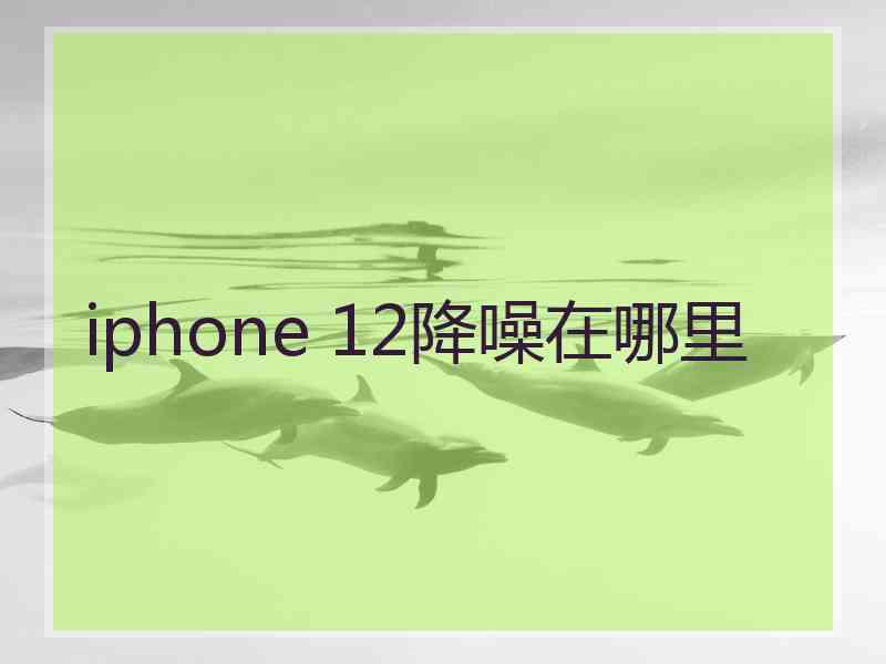 iphone 12降噪在哪里