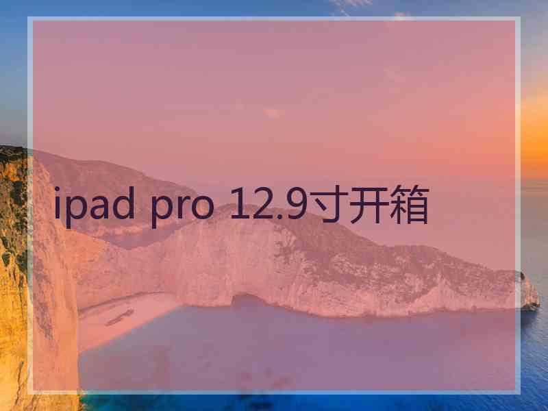 ipad pro 12.9寸开箱