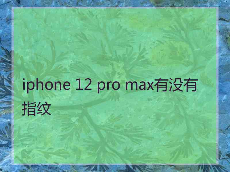 iphone 12 pro max有没有指纹