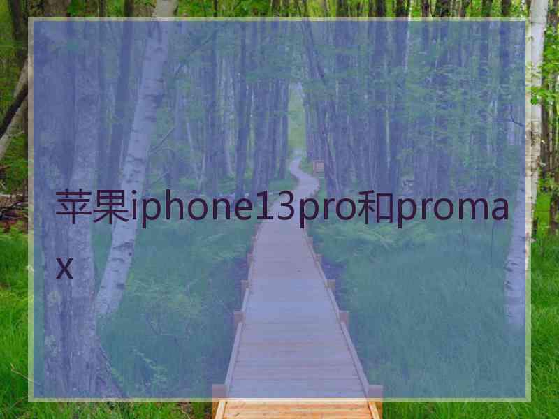 苹果iphone13pro和promax