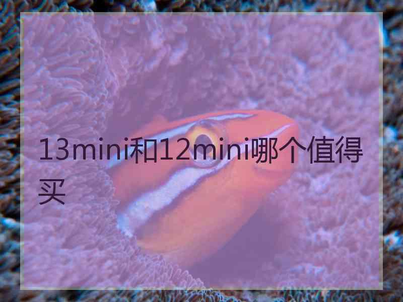 13mini和12mini哪个值得买