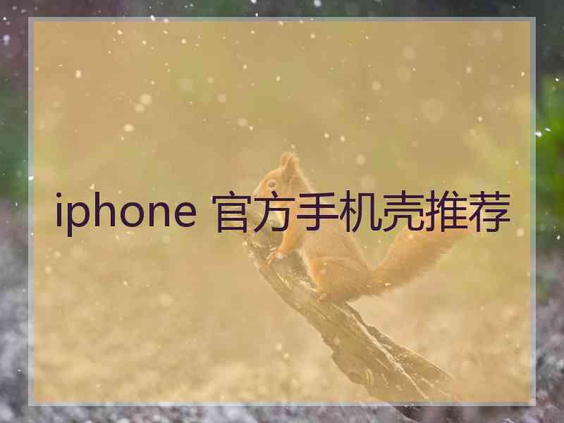 iphone 官方手机壳推荐