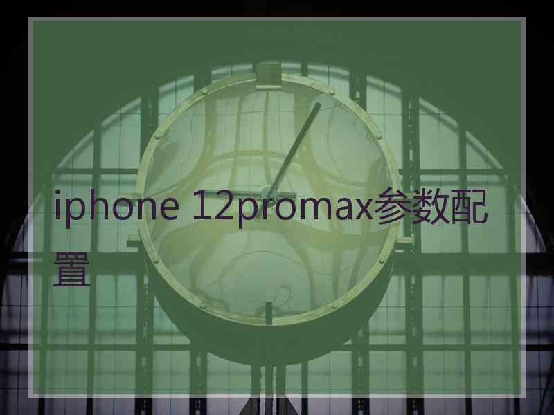 iphone 12promax参数配置