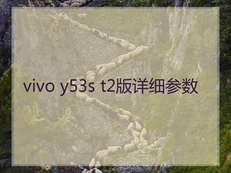 vivo y53s t2版详细参数