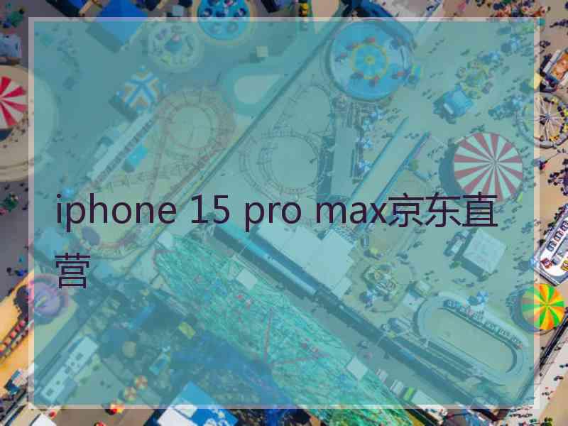 iphone 15 pro max京东直营