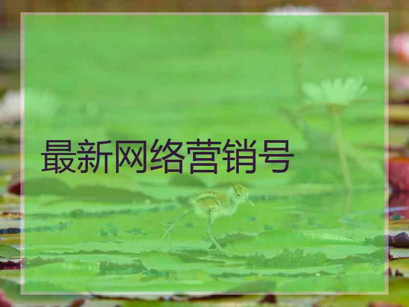 最新网络营销号