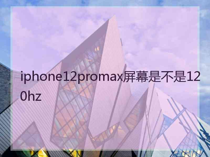 iphone12promax屏幕是不是120hz