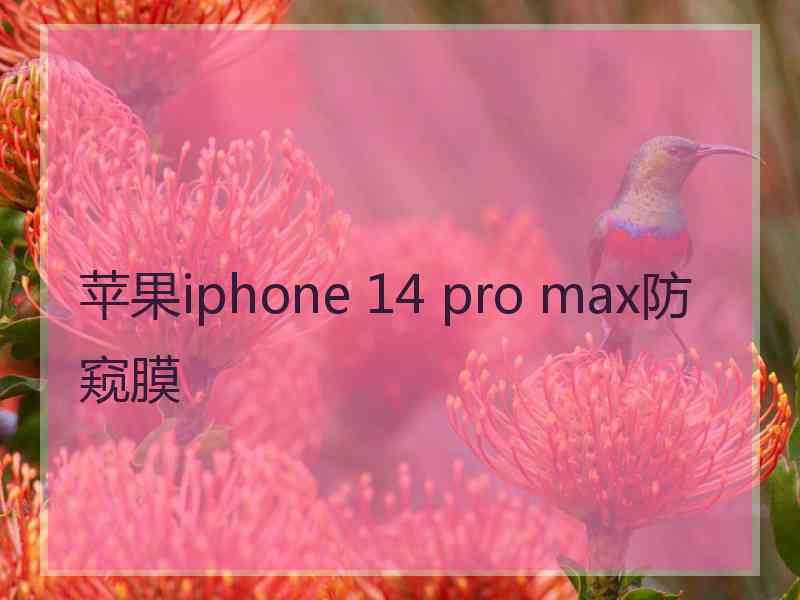 苹果iphone 14 pro max防窥膜