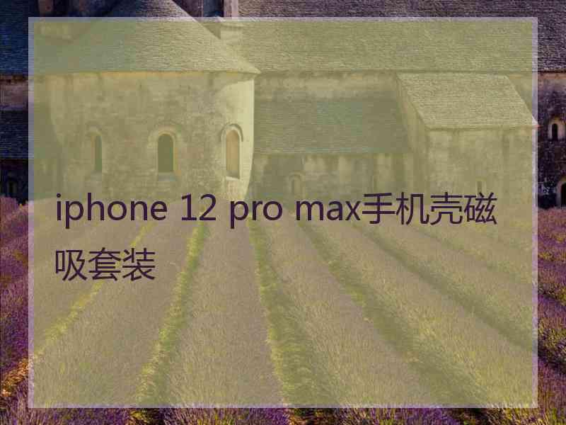 iphone 12 pro max手机壳磁吸套装