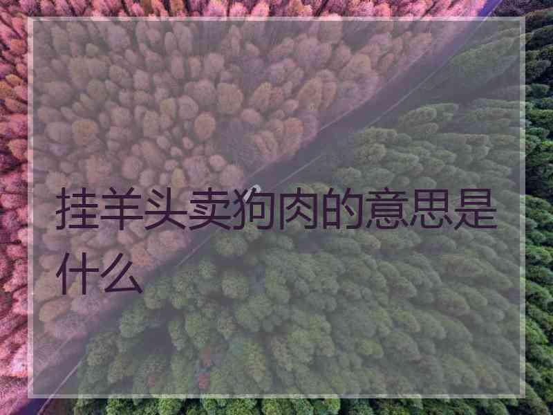 挂羊头卖狗肉的意思是什么