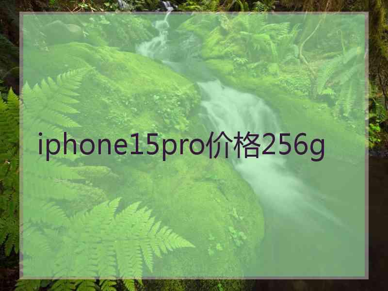 iphone15pro价格256g