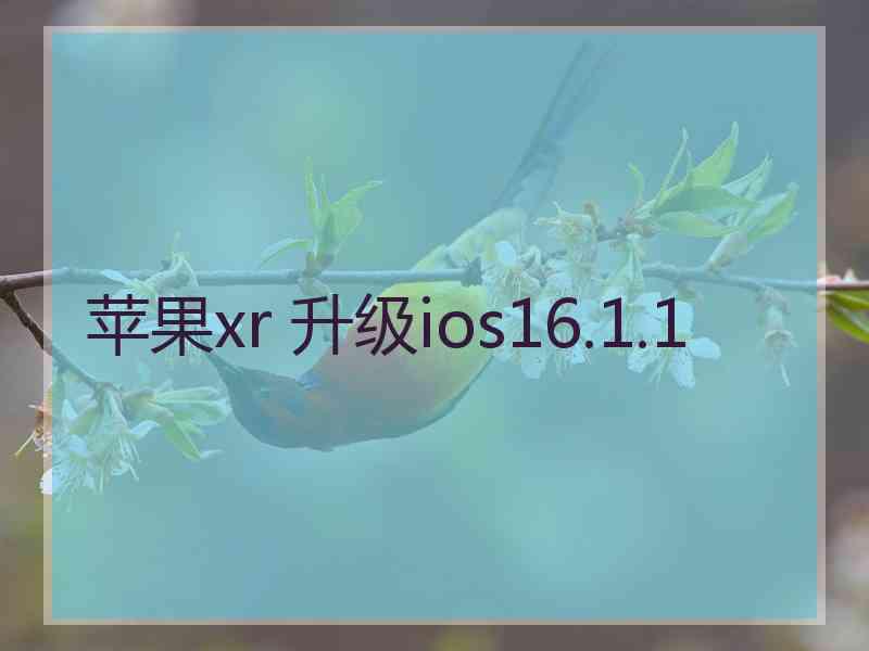 苹果xr 升级ios16.1.1