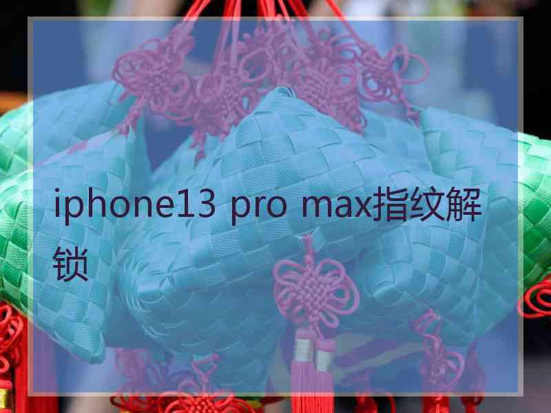 iphone13 pro max指纹解锁