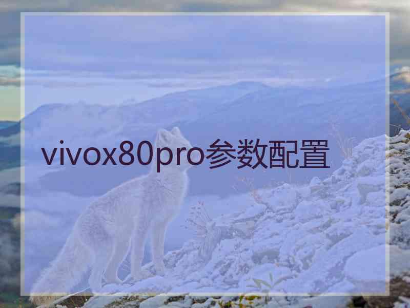 vivox80pro参数配置