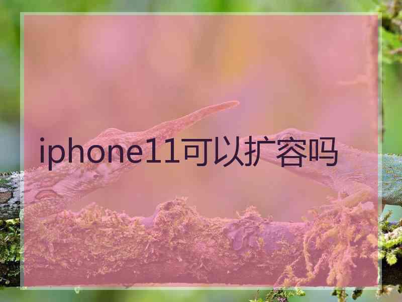 iphone11可以扩容吗