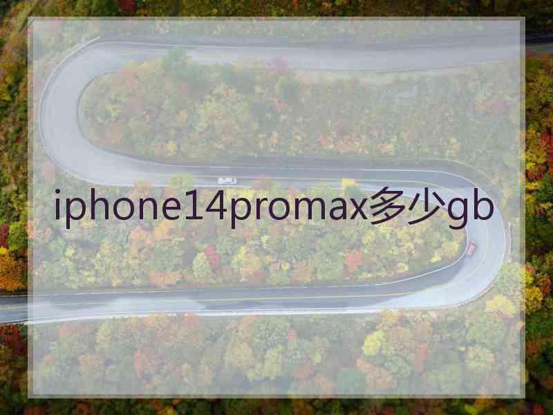 iphone14promax多少gb